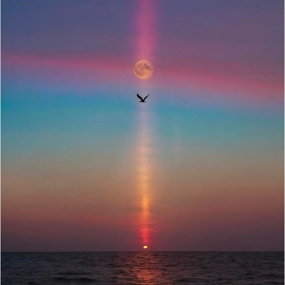 🆕J.  Crew Hoop Earrings - Picture 7 of 10